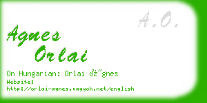 agnes orlai business card